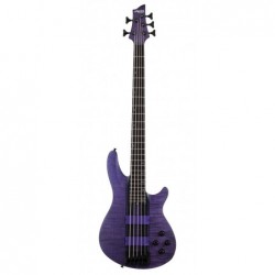 C-5 GT - SCHECTER