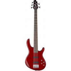 ACTION BASS V PLUS TR - CORT