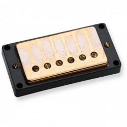 ANTIQUITY HUMBUKER BRIDGE GOLD COVER - SEYMOUR DUNCAN