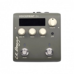 VOICEPRINT DI