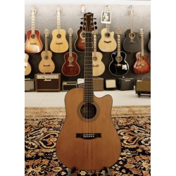 STANFORD Guitars  STUDIO 49 DREADNOUGHT  G ECW Acustica Electrificada